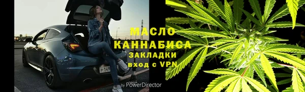 индика Горнозаводск